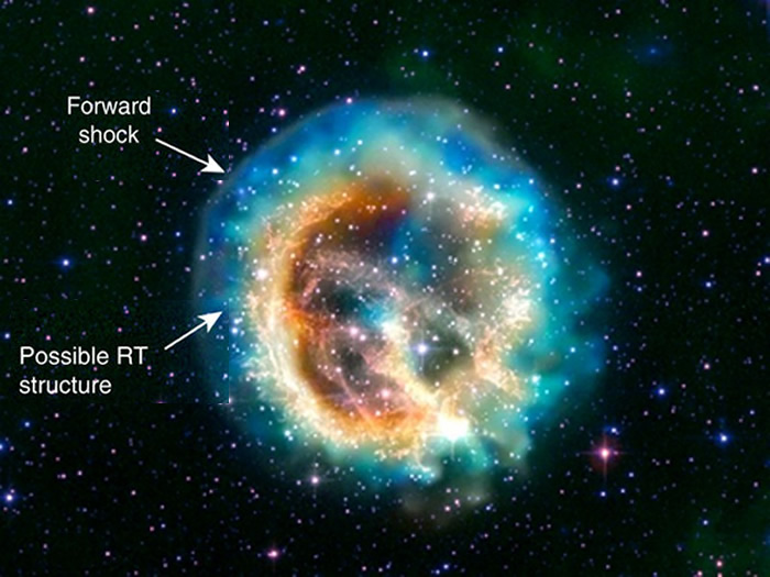 Remnants of a Core-Collapse Supernova