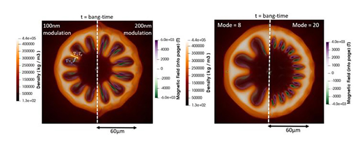 Hot-spot density and magnetic field profiles for capsules