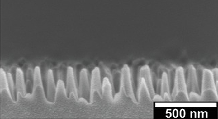 A scanning electron microscope cross-section of a metasurface fabricated for broadband anti-reflective applications