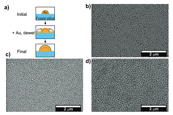 Schematic of nanoparticle growth and a display of electron micrographs